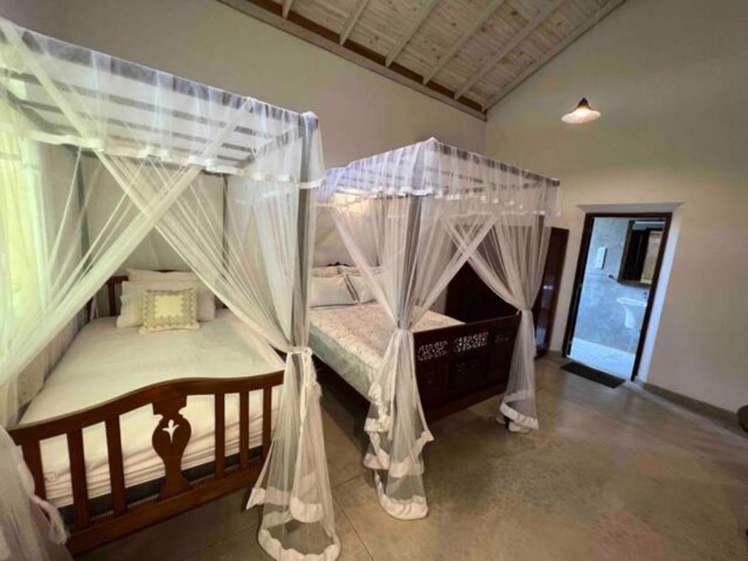 Wattala Villa- The Guardian Bungalow エクステリア 写真